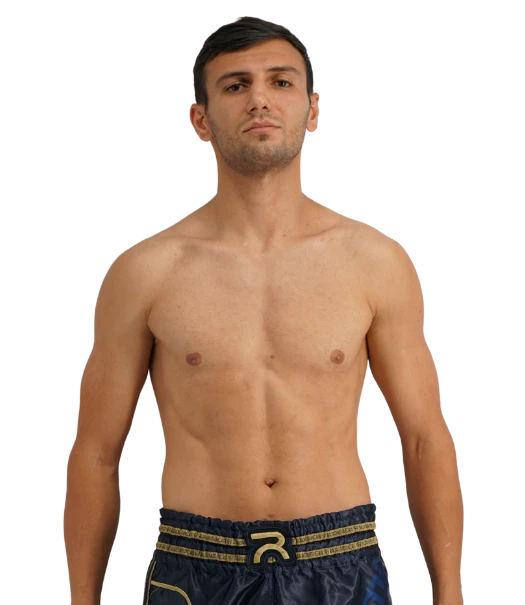 Amir Palang