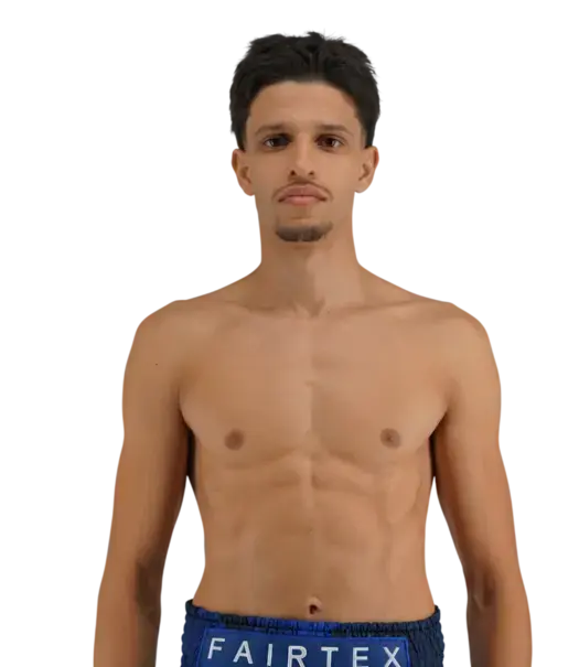Abdel Majid Lasmane