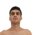 Mohammadmahdi Hematisangbili